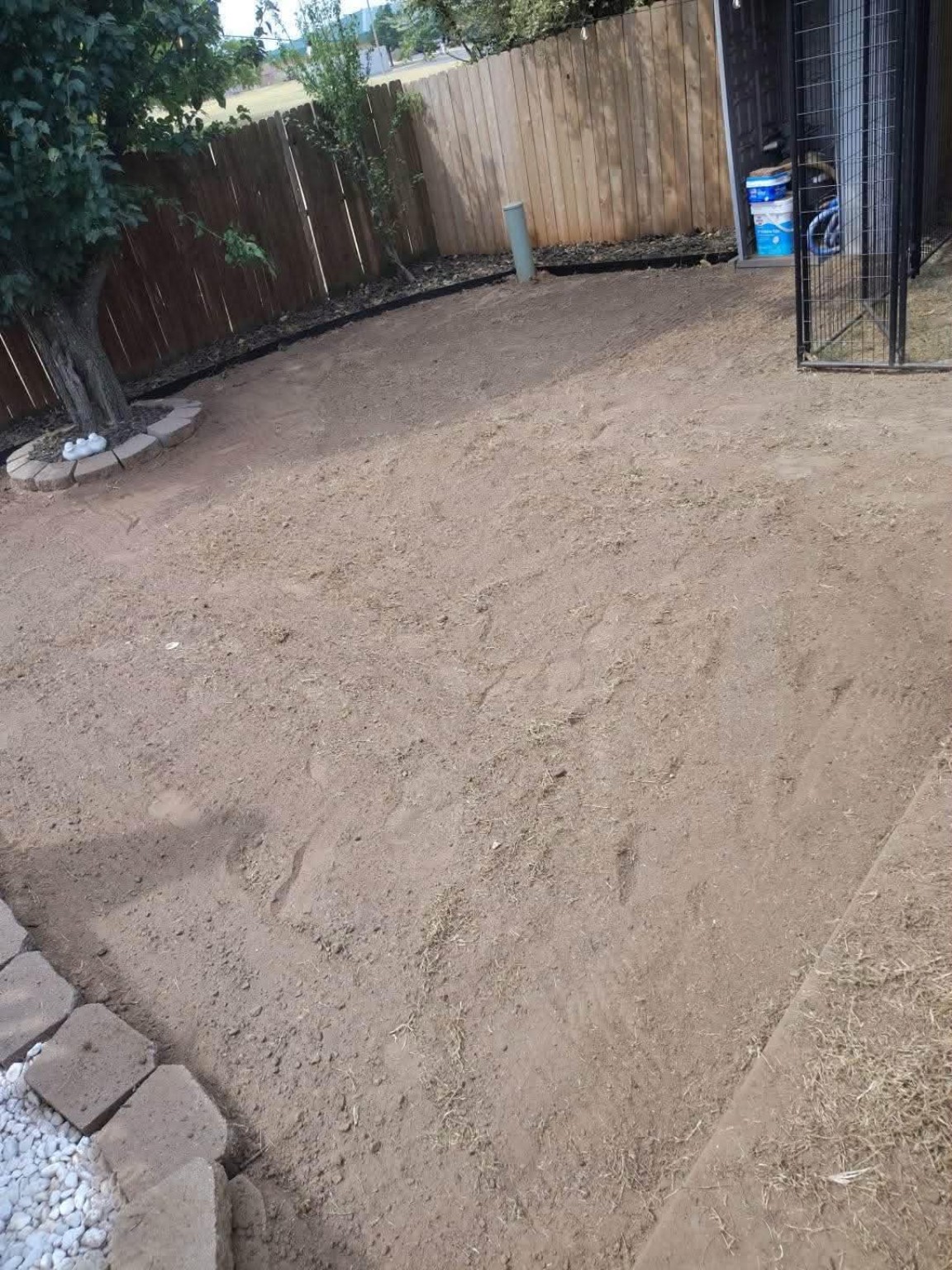 Olguin Landscape project 11