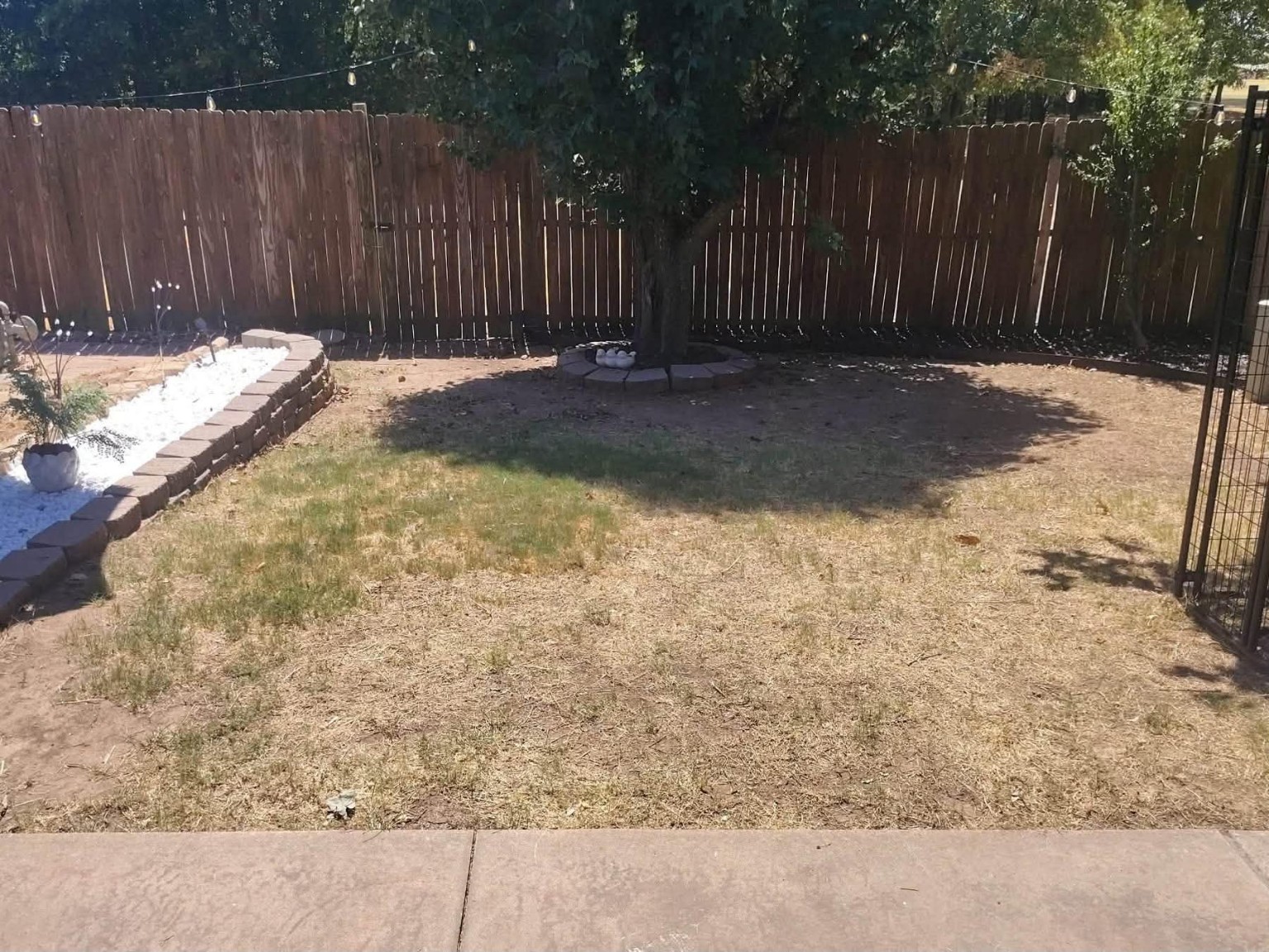 Olguin Landscape project 20
