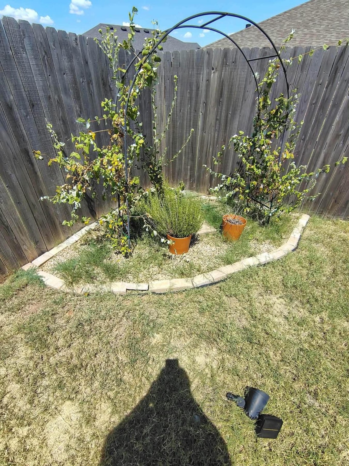 Olguin Landscape project 26